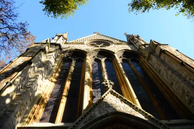 DSC_0452 (Large).JPG